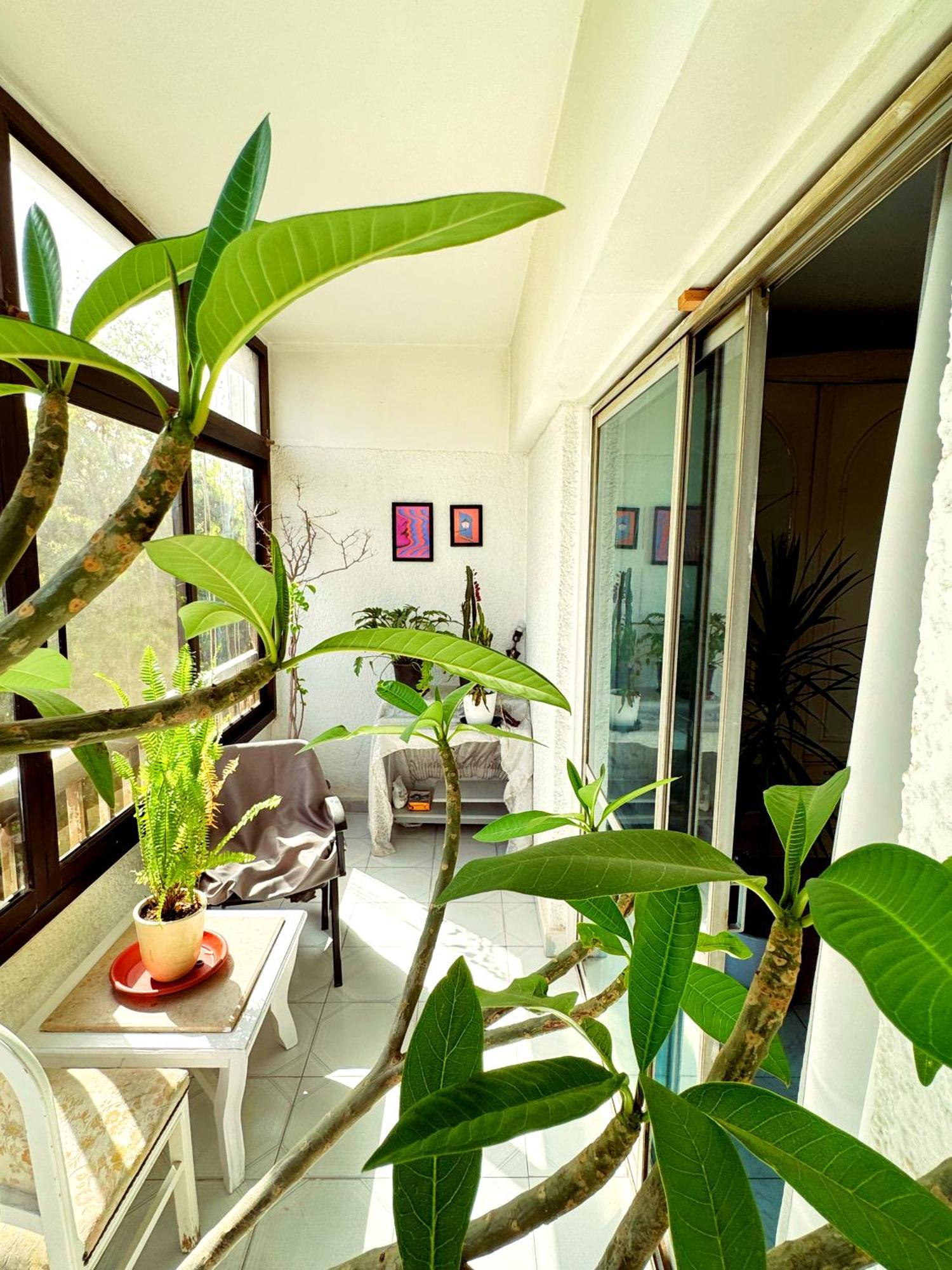Large Room With Its Own Balcony Κάιρο Εξωτερικό φωτογραφία
